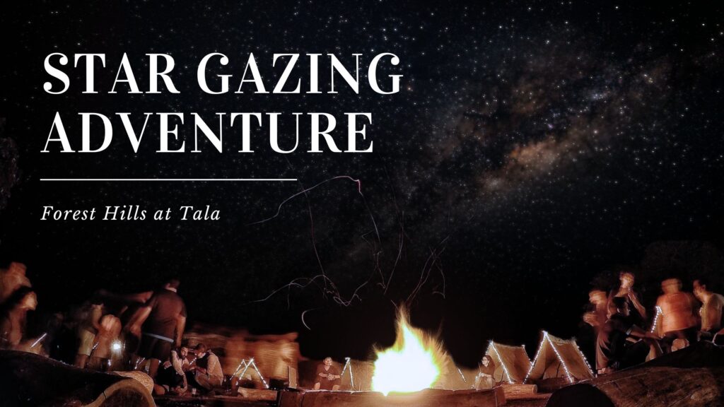 Star Gazing Night | Forest Hills at Tala