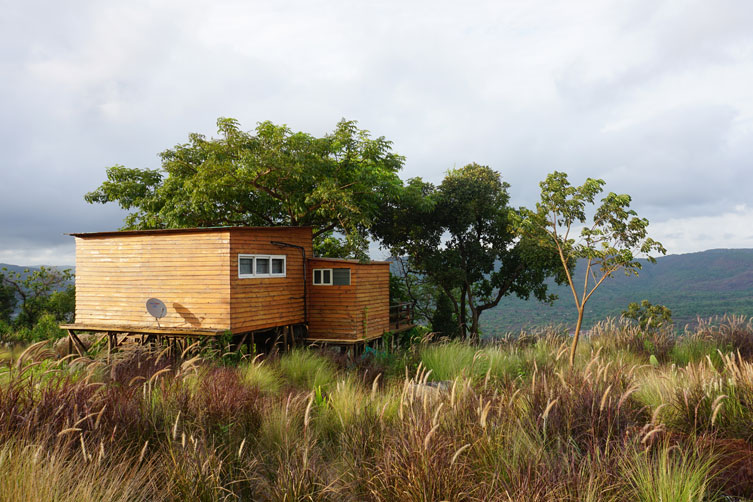 tree house machan forest jungle hill wood stay room accommodation