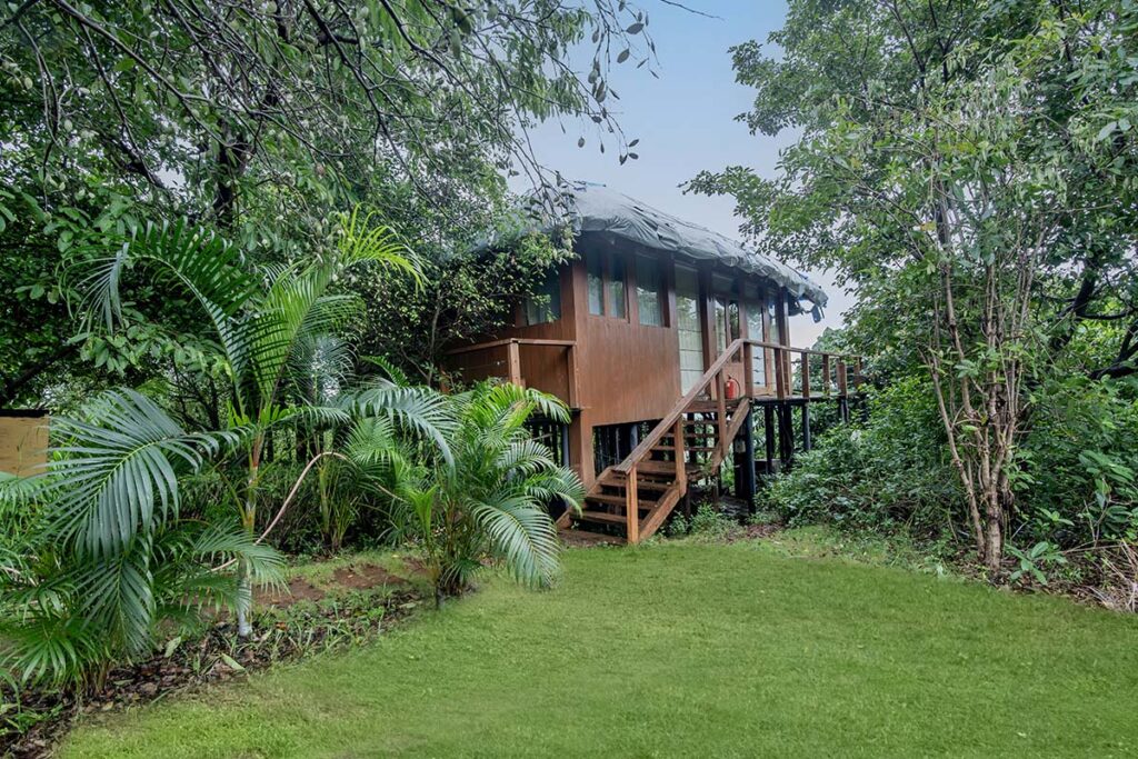 tree house tree hopper tree view