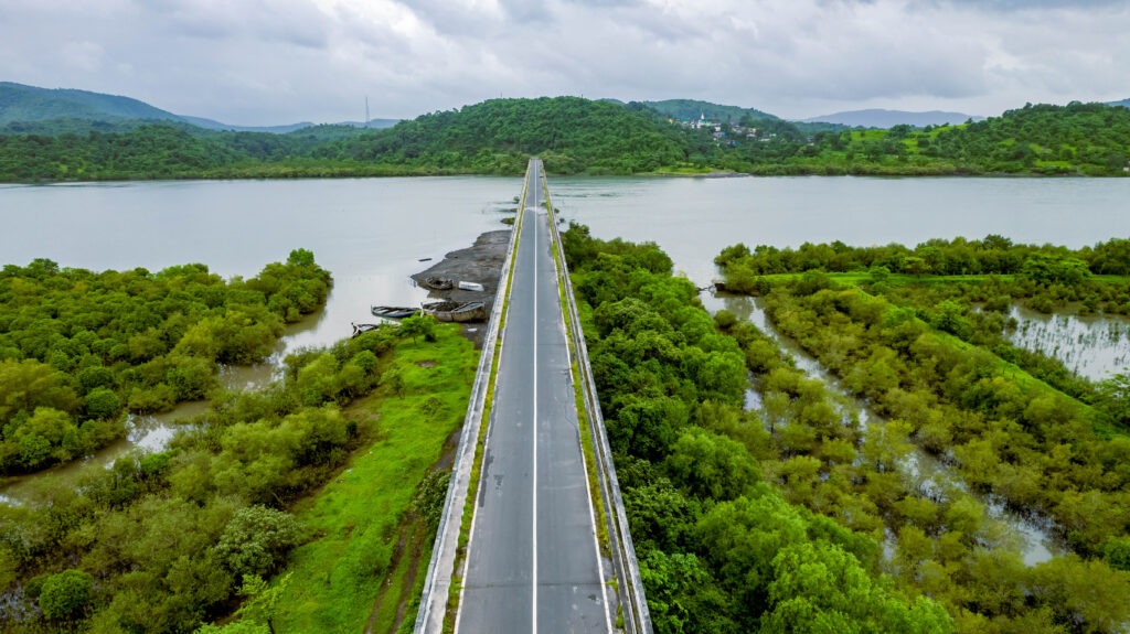 Road to forest Hills