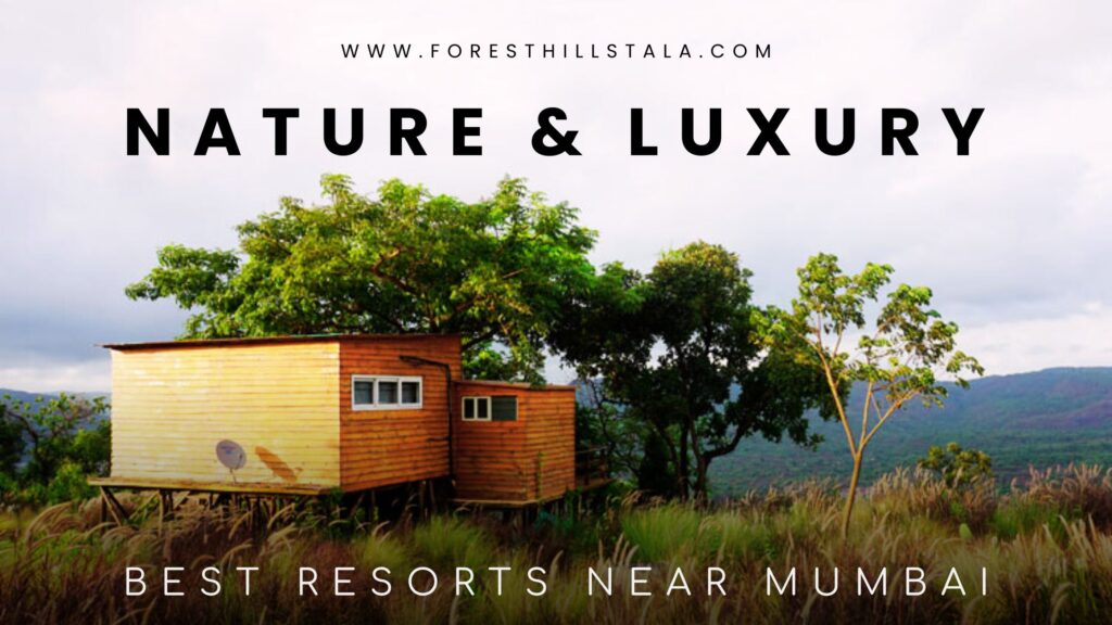 Best Resort near Mumbai | Searching for Adventures in Mumbai