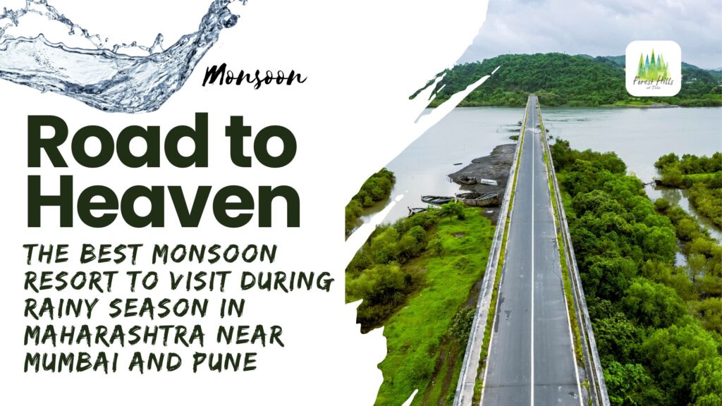 Monsoon at Forest Hills Tala Resort | Best Place to visit during Monsoon in Maharashtra near Mumbai and Pune
